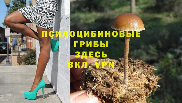 ПСИЛОЦИБИНОВЫЕ ГРИБЫ Армянск