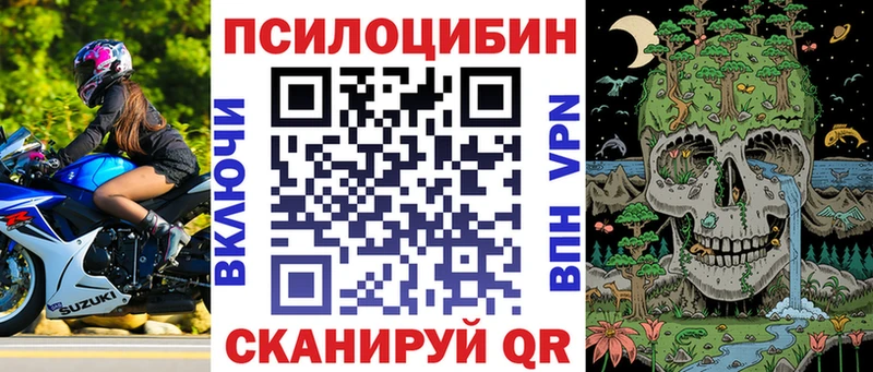 Галлюциногенные грибы Cubensis Долгопрудный