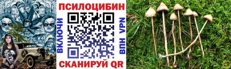 закладка  Долгопрудный  маркетплейс телеграм  Псилоцибиновые грибы ЛСД 