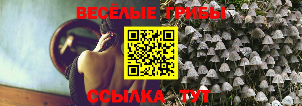 Долгопрудный  закладки  Вход с VPN  Псилоцибиновые грибы MAGIC MUSHROOMS 
